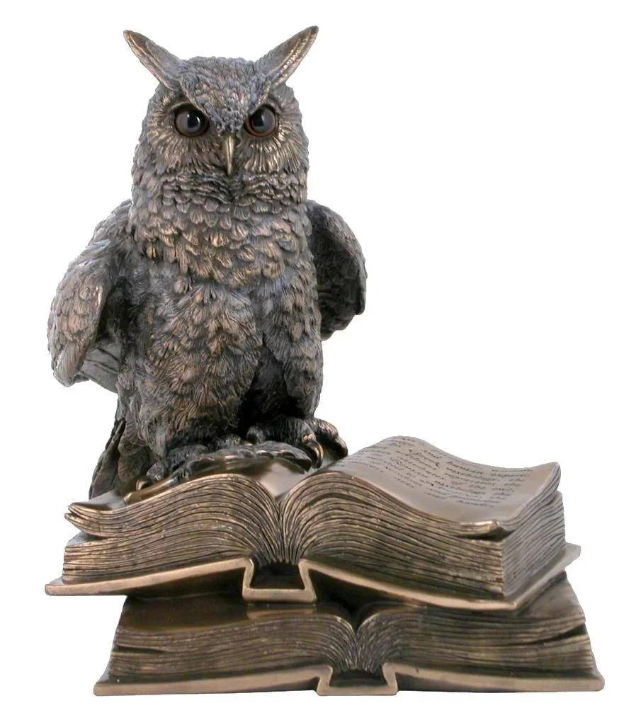 Kitap Üstünde Bronz Baykuş