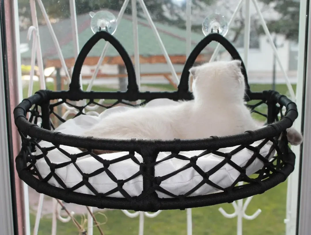 Lepus Cam Güzeli Vantuzlu Kedi ve Küçük Irk Köpek Yatağı